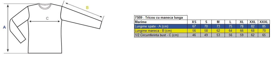Corespondență mărimi
